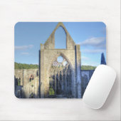 Ancient Tstage Abbey, klooster van Cistercian, Wal Muismat (Met muis)