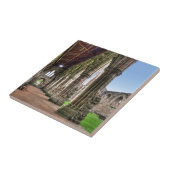 Ancient Tstage Abbey, klooster van Cistercian, Wal Tegeltje (Zijkant)