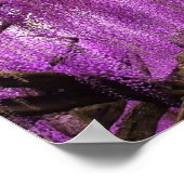 Ancient Wisteria Paars Lavender Flowers poster (Hoek)