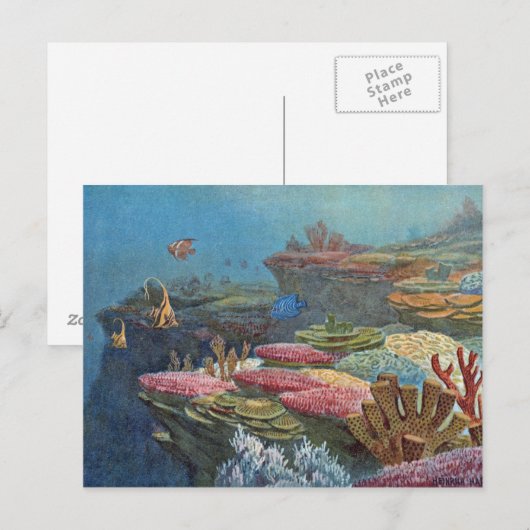 Ancient Zee Koraal Antiek afdrukken Briefkaart (Voorkant / Achterkant)