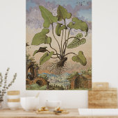 Anciënte botanische kunst Hemionite Fern Poster (Keuken)