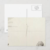 Ancon Peru Briefkaart (Voorkant / Achterkant)