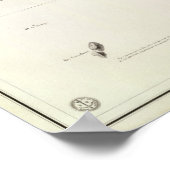 Ancon Peru Poster (Hoek)