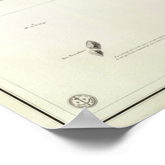 Ancon Peru Poster (Hoek)