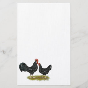 Ancona Chickens Briefpapier