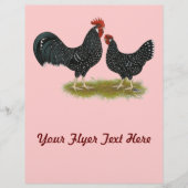 Ancona Chickens Flyer (Voorkant)