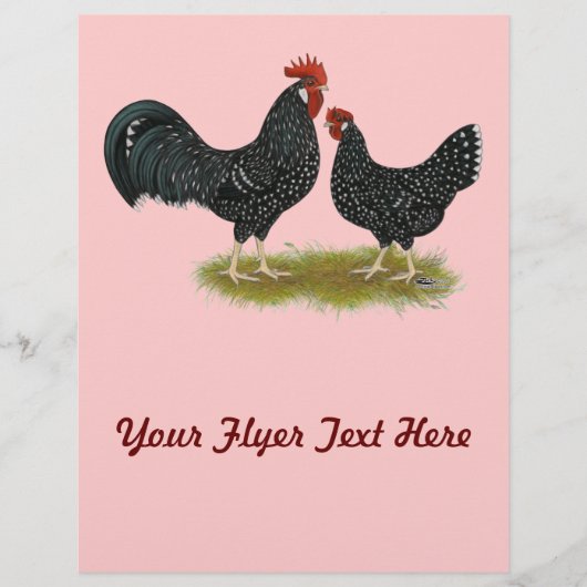 Ancona Chickens Flyer (Voorkant)