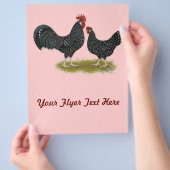Ancona Chickens Flyer (Hand)
