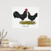 Ancona Chickens Poster (Keuken)