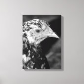 Ancona Hen Canvas Afdruk (Voorkant)
