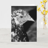 Ancona Hen Kaart (Gele Bloem)