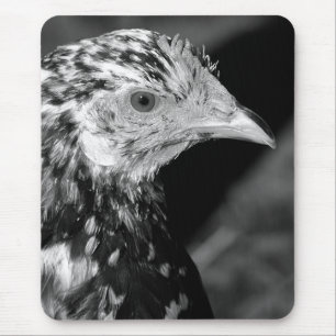 Ancona Hen Muismat