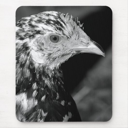 Ancona Hen Muismat (Voorkant)