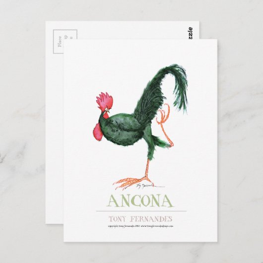 Ancona Hen, Tony Fernandes Briefkaart (Voorkant / Achterkant)