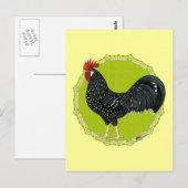 Ancona Rooster Briefkaart (Voorkant / Achterkant)