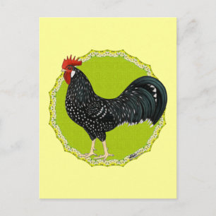 Ancona Rooster Briefkaart