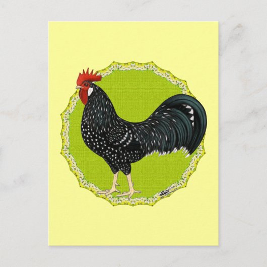 Ancona Rooster Briefkaart (Voorkant)
