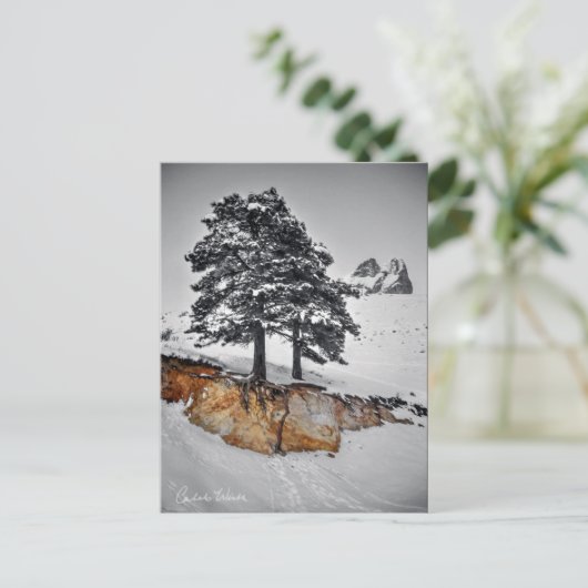 And Yet it Grows Briefkaart (Staand voorkant)