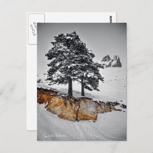 And Yet it Grows Briefkaart (Voorkant / Achterkant)