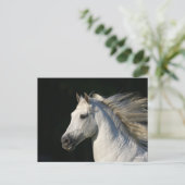 Andalucian Stallion Headshot Mane stromend Briefkaart (Staand voorkant)