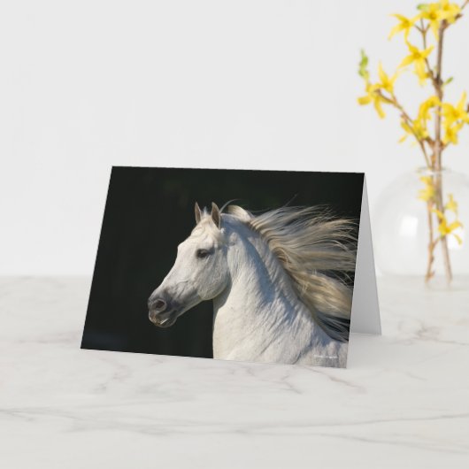Andalucian Stallion Headshot Mane stromend Kaart (Gele Bloem)