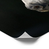 Andalucian Stallion Headshot Mane stromend Poster (Hoek)