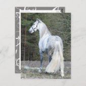 Andalusiaans 2 briefkaart (Voorkant / Achterkant)