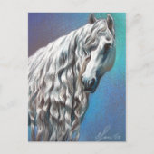 Andalusiaans Briefkaart (Voorkant)