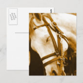 Andalusiaans Briefkaart (Voorkant / Achterkant)