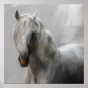 Andalusiaans paard poster