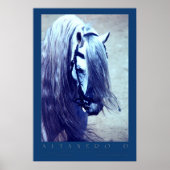 Andalusiaans Poster (Voorkant)