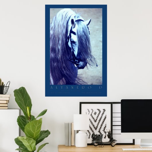 Andalusiaans Poster (Thuiskantoor)