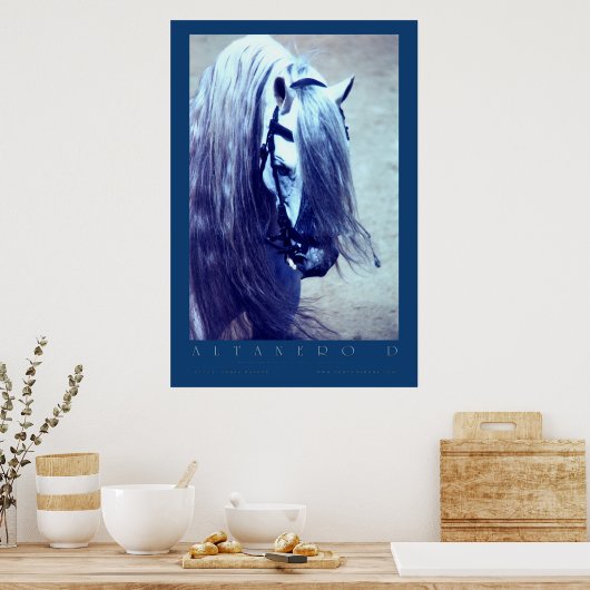 Andalusiaans Poster (Keuken)