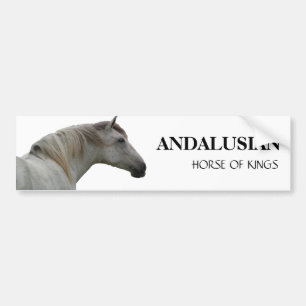 ANDALUSIAN HORSE 2 BUMPERSTICKER
