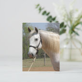 ANDALUSIAN HORSE HEAD MORISCO BRIEFKAART (Staand voorkant)