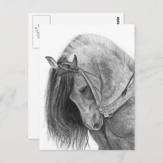 Andalusië Briefkaart (Voorkant / Achterkant)