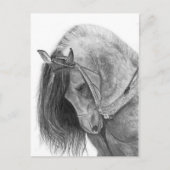 Andalusië Briefkaart (Voorkant)