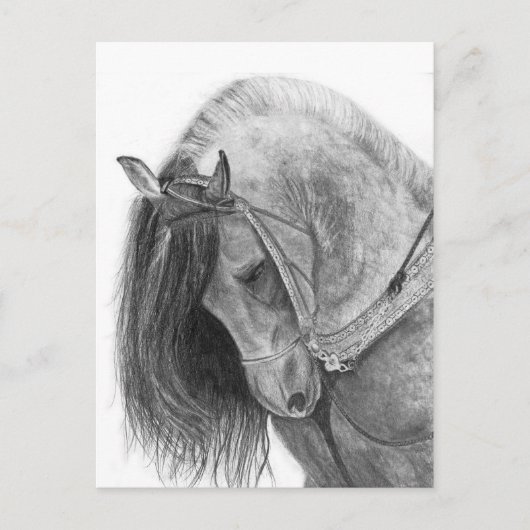 Andalusië Briefkaart (Voorkant)