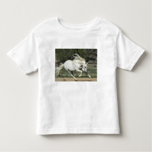 Andalusië Stallion onderweg, PR Kinder Shirts
