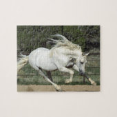 Andalusië Stallion onderweg, PR Legpuzzel (Horizontaal)