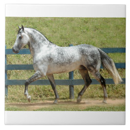 Andalusië Stallion Trotting Tegeltje