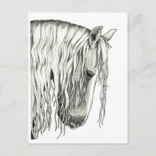 Andalusië True Romantic Horse Briefkaart