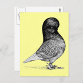 Andalusië Tumbler Briefkaart (Voorkant / Achterkant)