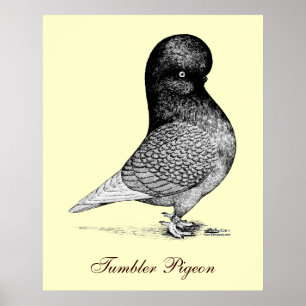 Andalusië Tumbler Poster