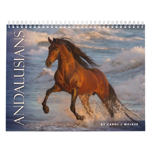 Andalusiërs door Carol J Walker Horse Calendar Kalender (Hoes)