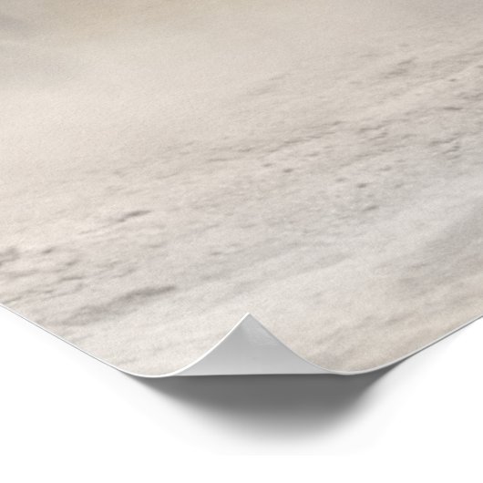 Andalusisch appelgrijs paard in beweging poster (Hoek)