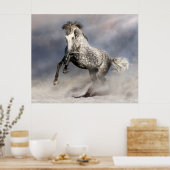 Andalusisch appelgrijs paard in beweging poster (Keuken)