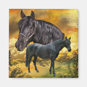 Andalusisch Paard Spaans Ruiterkunst Magneet