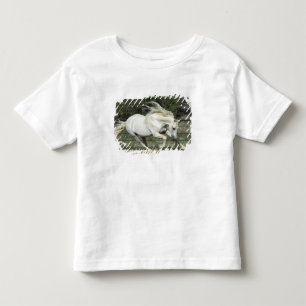 Andalusische hengst hardlopend, PR Kinder Shirts