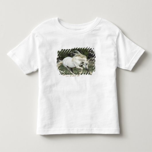 Andalusische hengst hardlopend, PR Kinder Shirts (Voorkant)